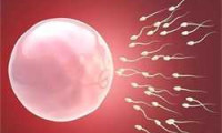 想知道精子活力低能生育吗，别想了做好这些，也能怀上