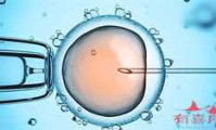 6℃会怀孕吗